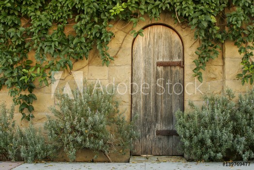 Picture of Rustic wooden doorway